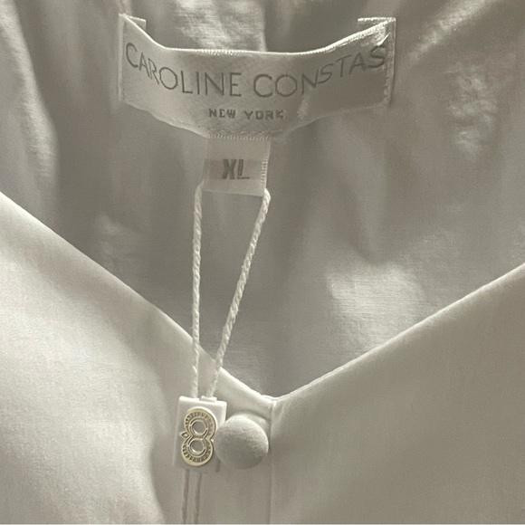 Caroline Constas ‘Savanah’ Dress - Picture 9 of 12